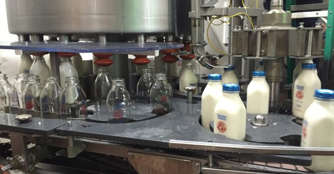 Homestead Creamery recalls products in glass bottles due to sanitation  process issue